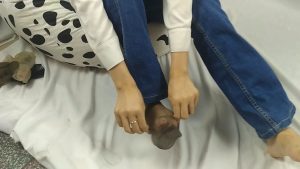 模拍丝足视频 漂亮大三女生冬梅3D全透短灰丝