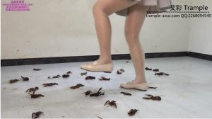 2 Helen Crayfish