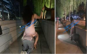【VIVI】户外遛狗-97LZTD-2185