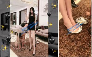 【嘉嘉】今天好好玩囚笼里面的狗【完整版】-97LZTD-2477