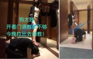 【若依S】狗太贱了！今晚玩死他个不要脸的！-97LZTD-2966