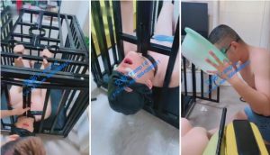 【双子姬大小姐】狗笼升水喝洗脚水互动-97LZTD-3188