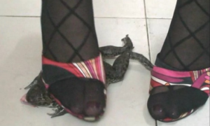 魔女大网格黑丝高跟凉拖踩牛蛙-97LZTD-32210