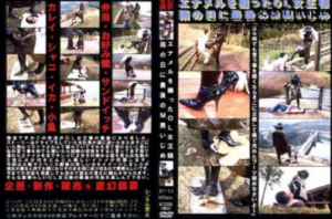 変幻餌罪　品番 JO-13 R-161207-5-97LZTD-328823