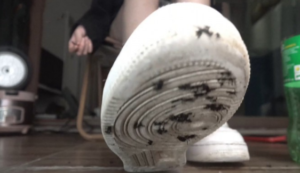 女神雪儿脏脏空军踩蚂蚁，语言羞辱嘲笑，把你当蚂蚁踩在脚下-97LZTD-328926